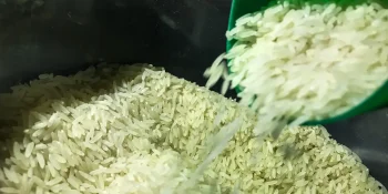 Preços recebidos pelos produtores rurais gaúchos sobem 7,54%