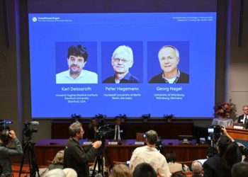 premio-nobel-medicina-2026-reconhece-optogenetica