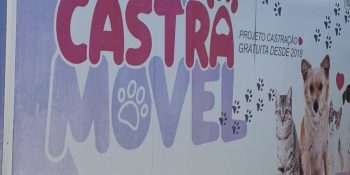 Rondonópolis intensifica ações de bem-estar animal