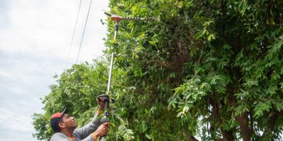 Rondonópolis oferece serviços da área ambiental de forma digital