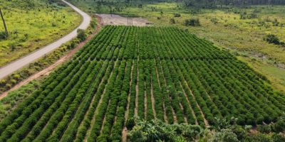 Seaf inicia MT Produtivo em 61 municípios de Mato Grosso