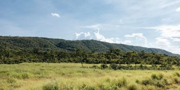 Sema-MT aprova projetos para recuperação de 50 mil hectares