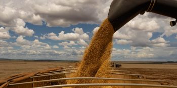 Soja brasileira atinge 108,6 mi de toneladas com recorde em 2025