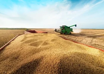 Soja dos EUA pede pausa em tarifas com China