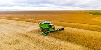 Tecnologia pode aumentar até cinco sacas de soja por hectare