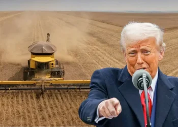 Trump anuncia pacote de US$ 11 bilhões para ajudar agricultores