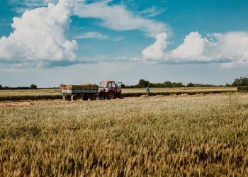 UE põe acordo com Mercosul em risco contra produtos agrícolas