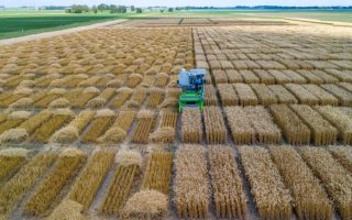 Unemat vai da sala de aula ao "Cinturão do Milho" nos EUA