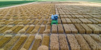 Unemat vai da sala de aula ao "Cinturão do Milho" nos EUA
