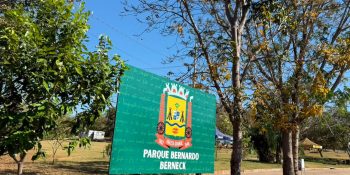 Várzea Grande avalia implantar cafeicultura na agricultura familiar