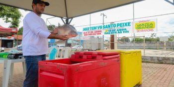 VG Santo Peixe começa com pescado a partir de R$ 24, confira!